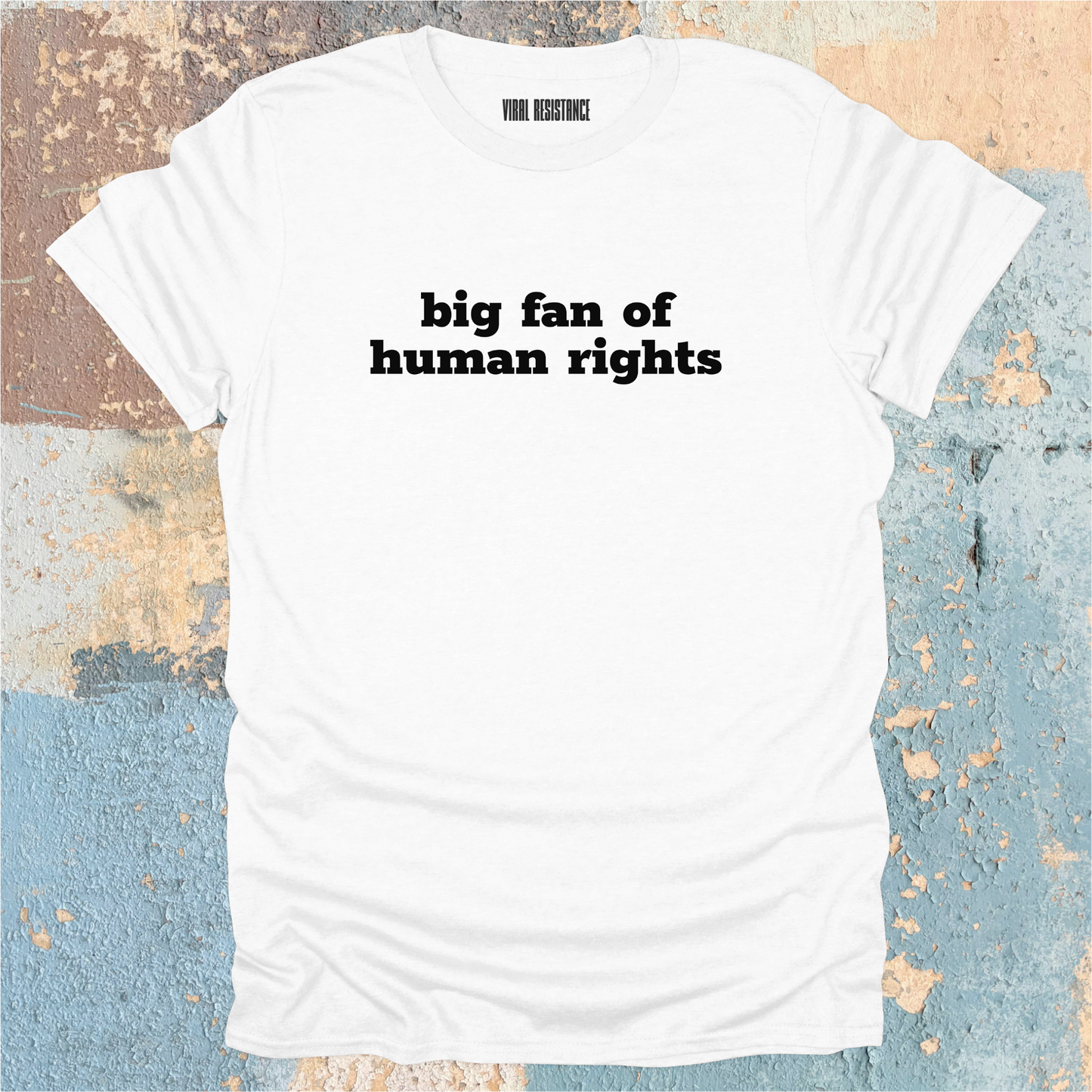 Big Fan of Human Rights T-Shirt
