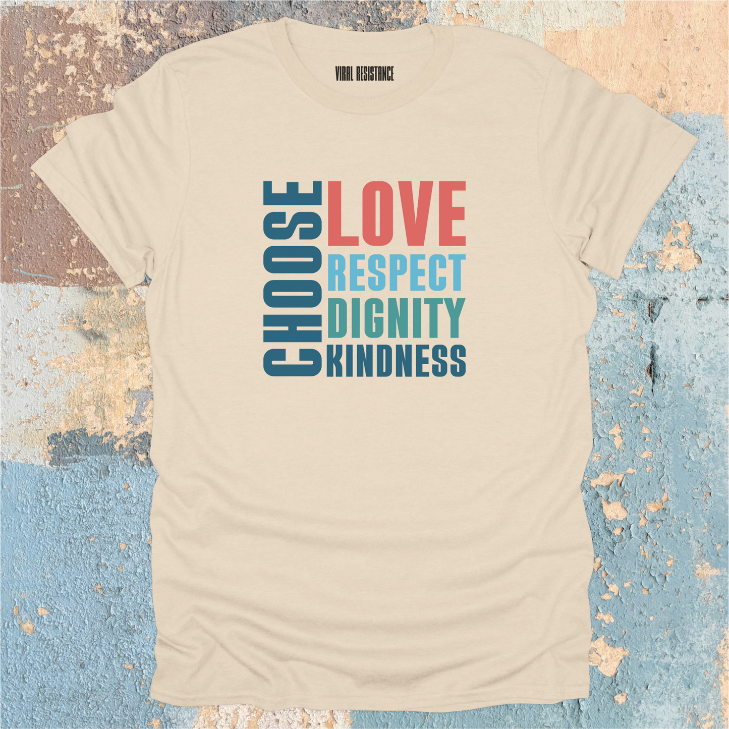 Choose Love Respect Dignity Kindness T-Shirt